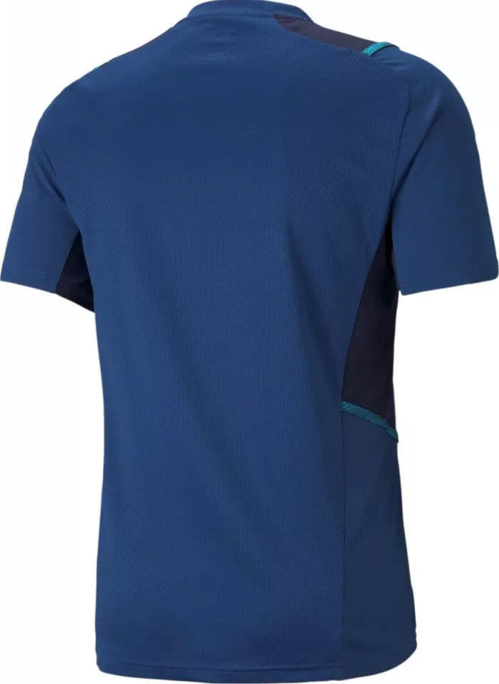 Bluza Puma teamCUP Training Jersey