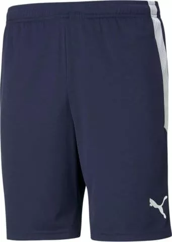 teamLIGA Training Shorts