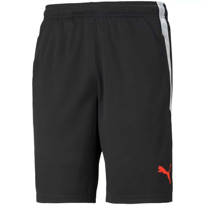 Korte broeken Puma teamLIGA Training Shorts