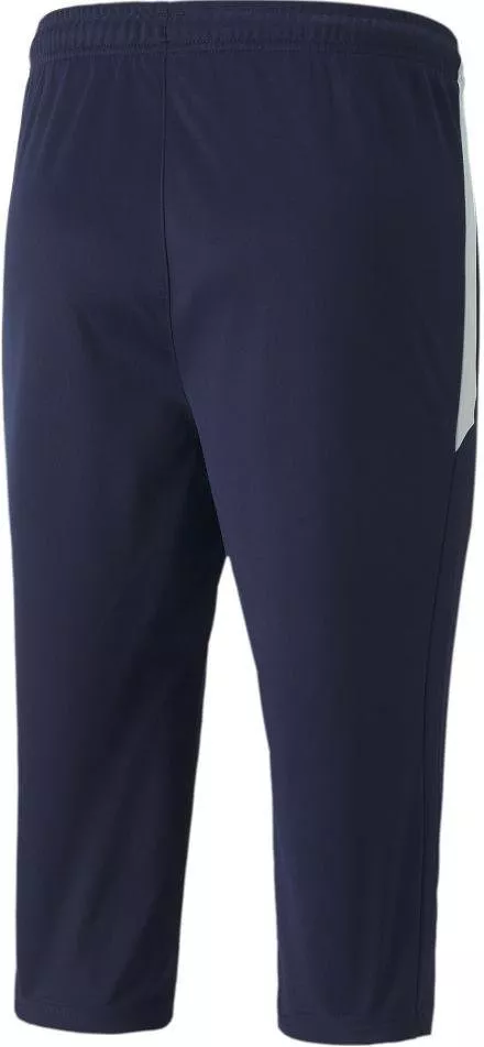 Puma teamLIGA Training 3/4 Pants