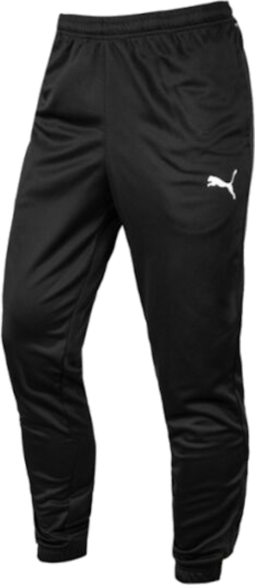 Hose Puma teamRISE Poly Training Pants