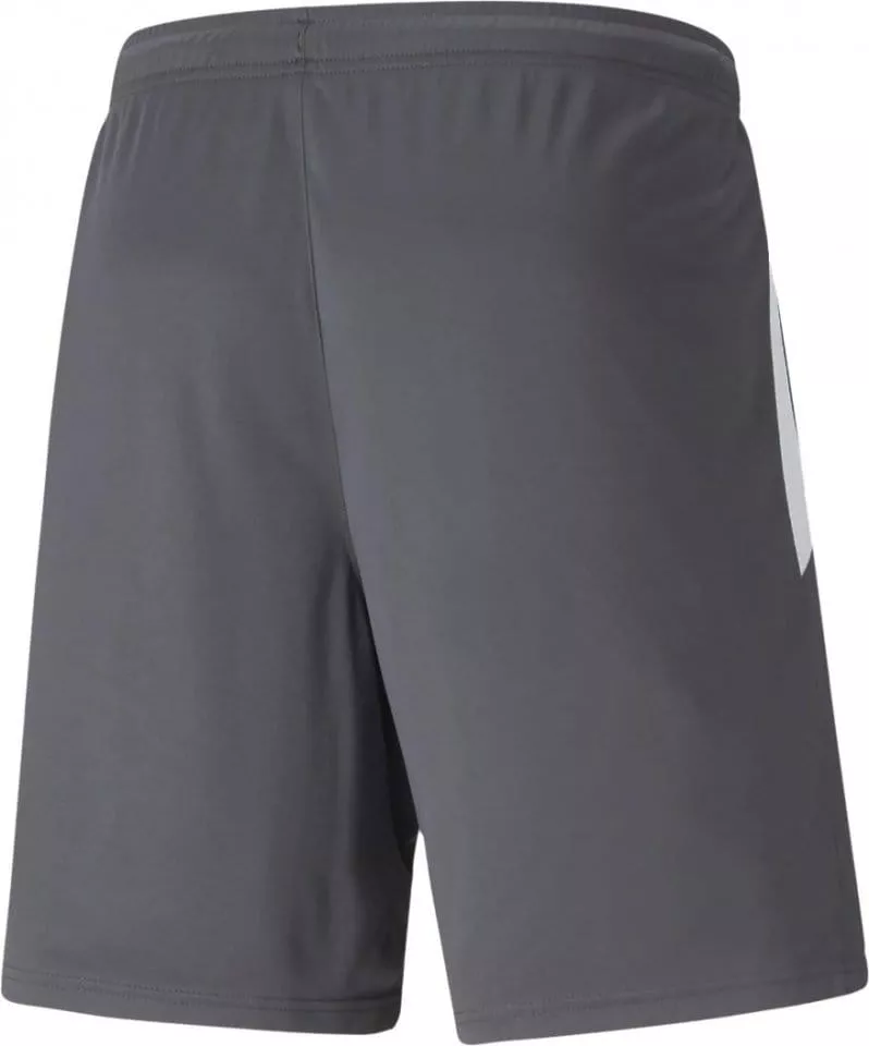 Calções Puma teamLIGA Training Shorts 2