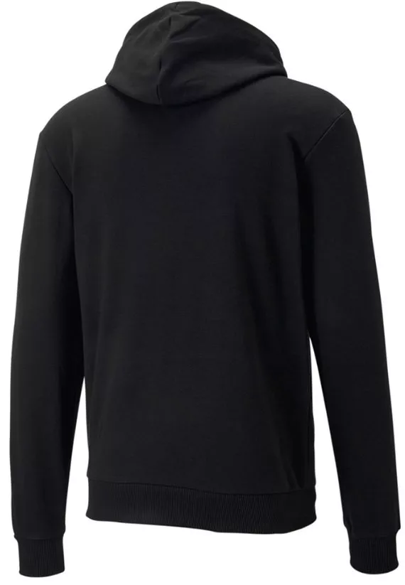 Sudadera con capucha Puma Handball Hoodie