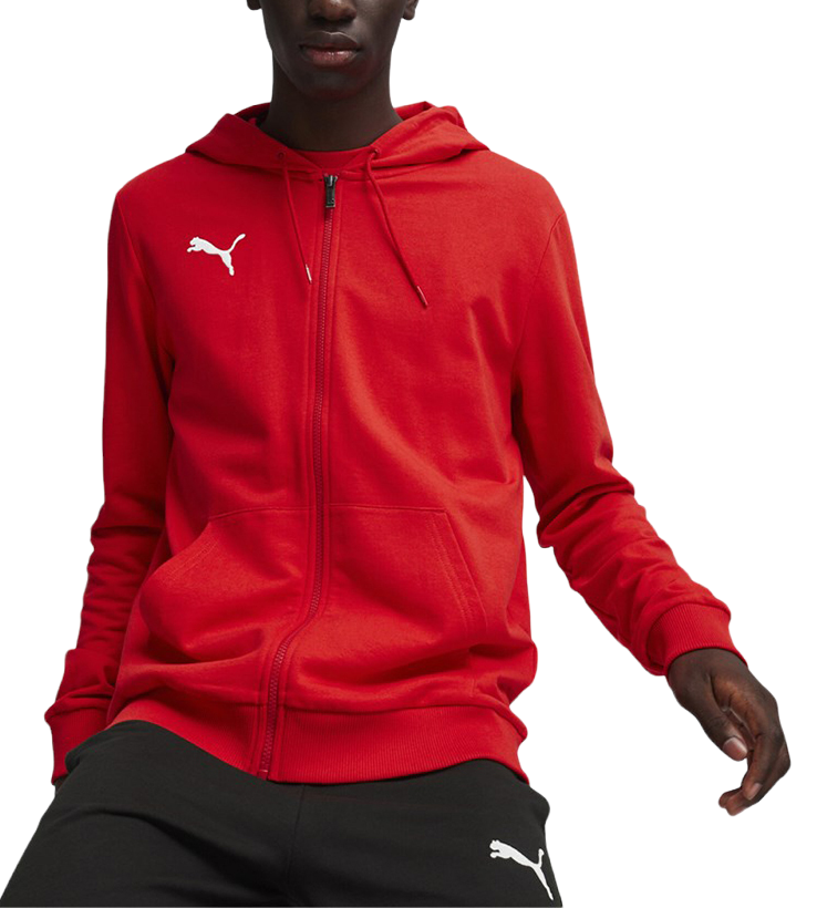 sweatshirt Puma teamGOAL Casuals Hooded Jacket