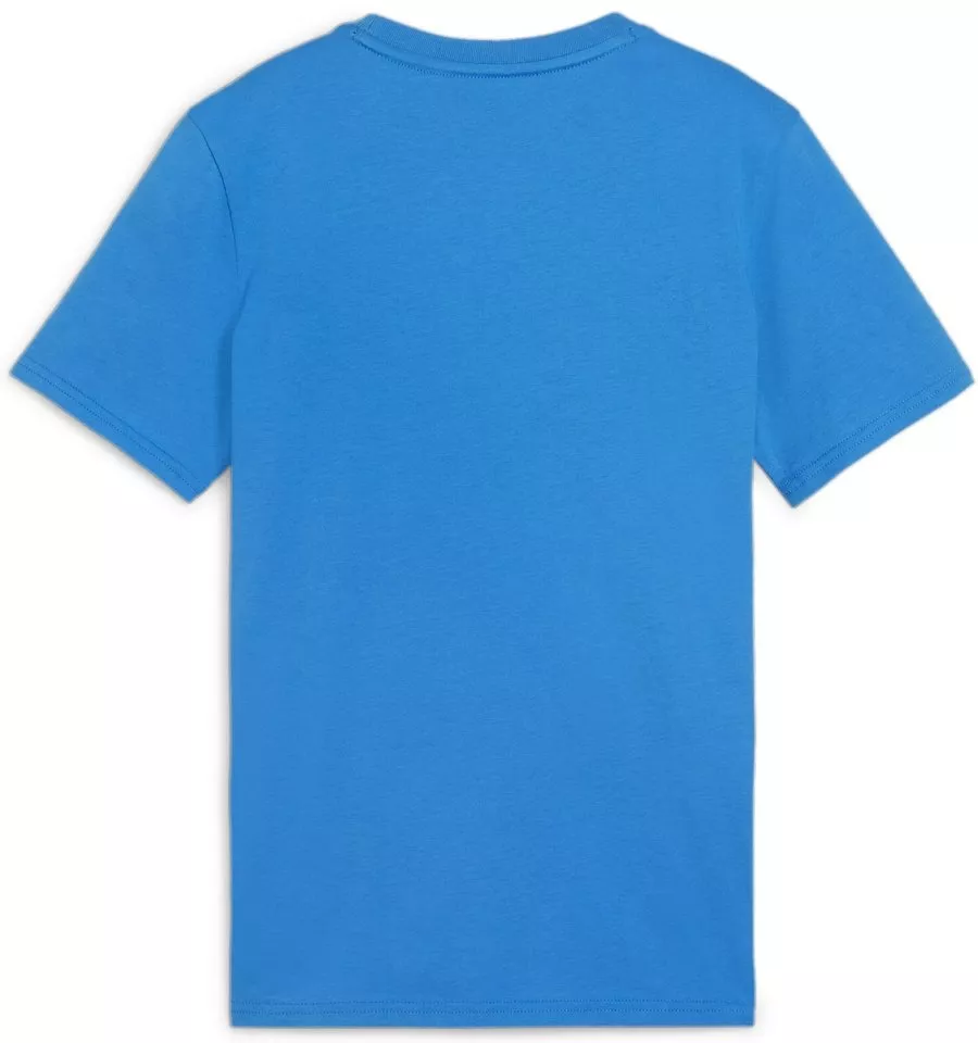 Camiseta Puma teamGOAL Casuals Tee Jr