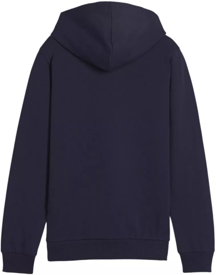 Sudadera con capucha Puma teamGOAL Casuals Hoody Kids