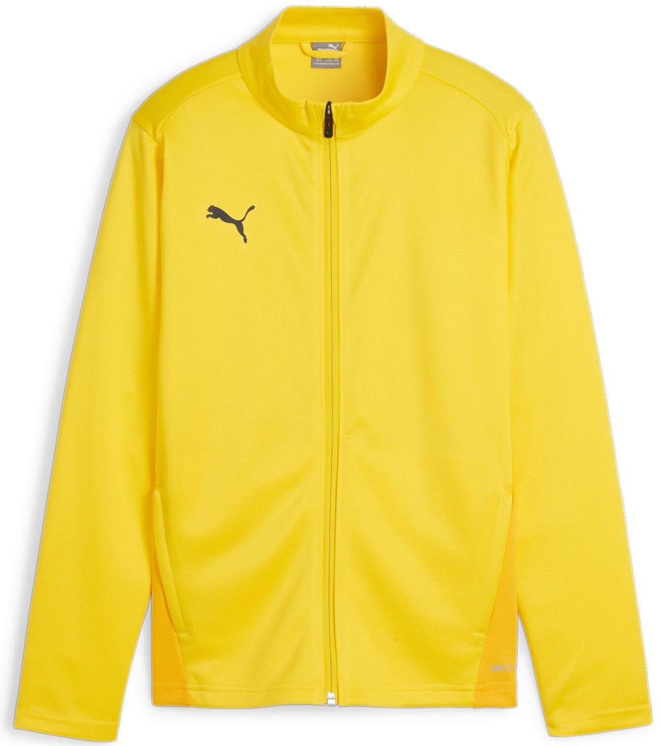 Puma teamGOAL Training Jacket Jr