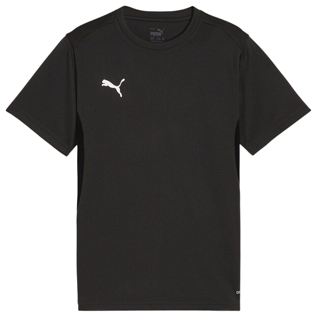 Puma teamGOAL T-Shirt