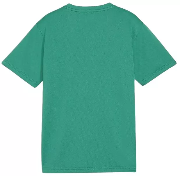 Magliette Puma teamGOAL T-Shirt