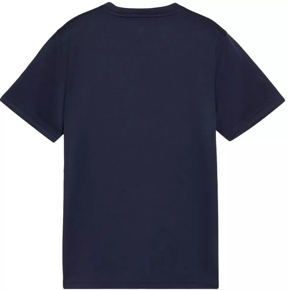 Camiseta Puma teamGOAL T-Shirt