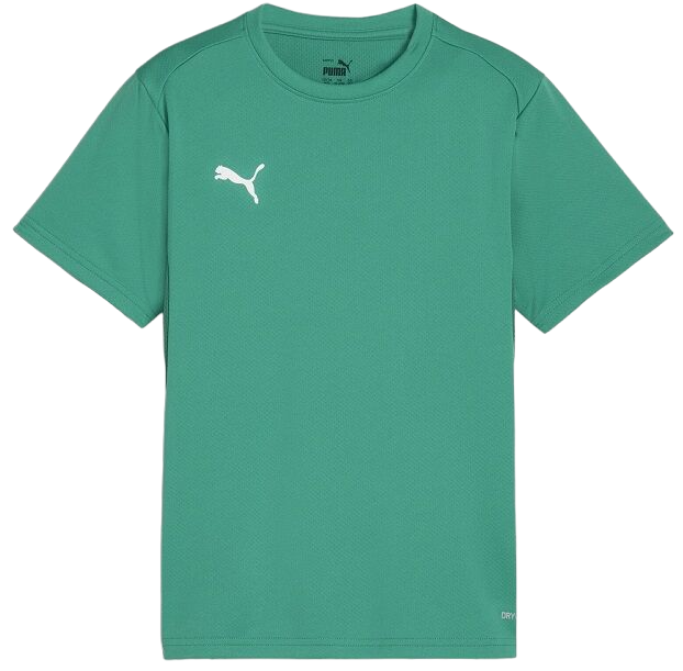 Puma teamGOAL T-Shirt Rövid ujjú póló