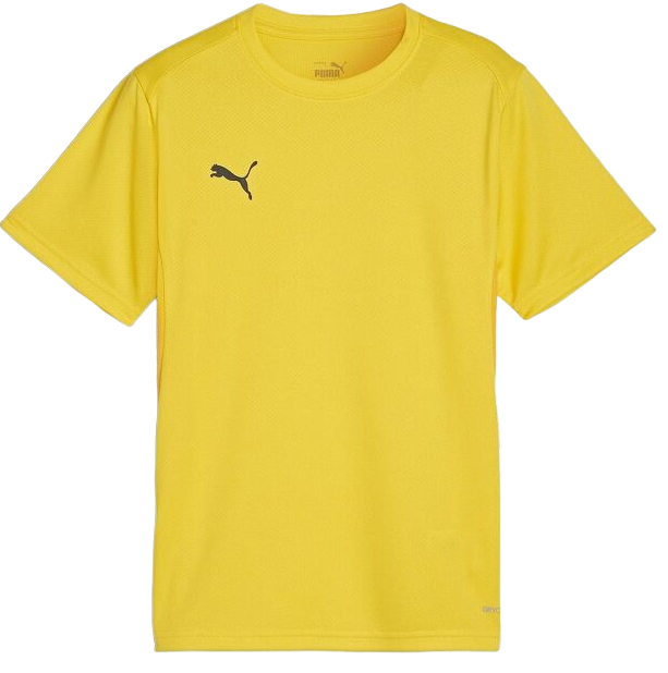 Puma teamGOAL T-Shirt