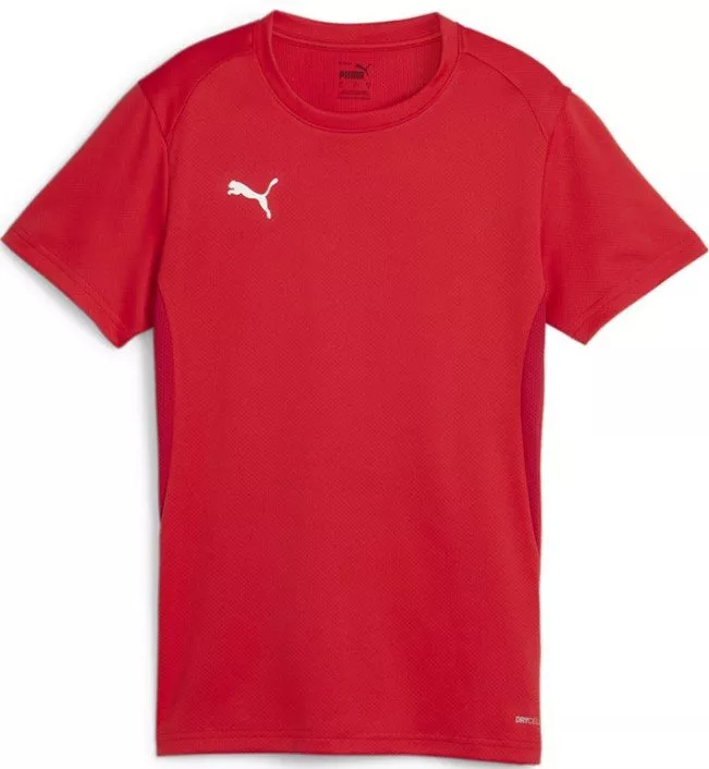 Puma  teamGOAL Jersey W Póló