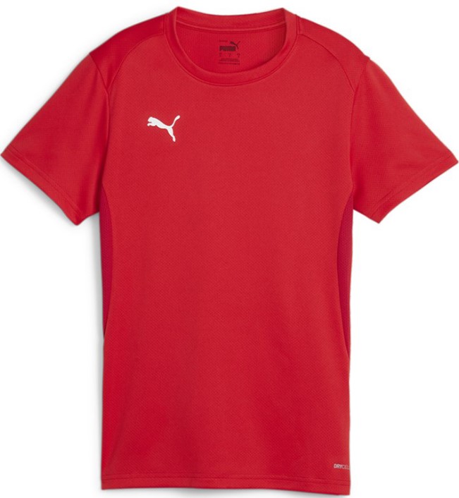 Koszulka Puma teamGOAL Jersey W