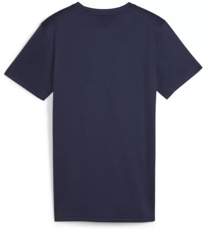 Puma teamGOAL Jersey Wmn Póló