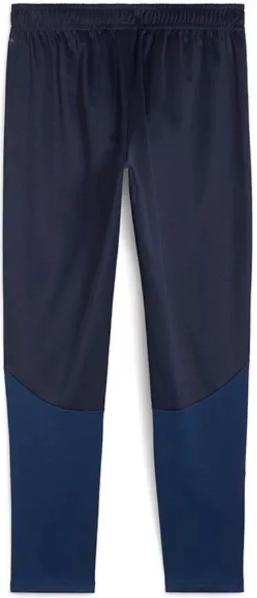 Pantaloni Puma teamGOAL Training Pant