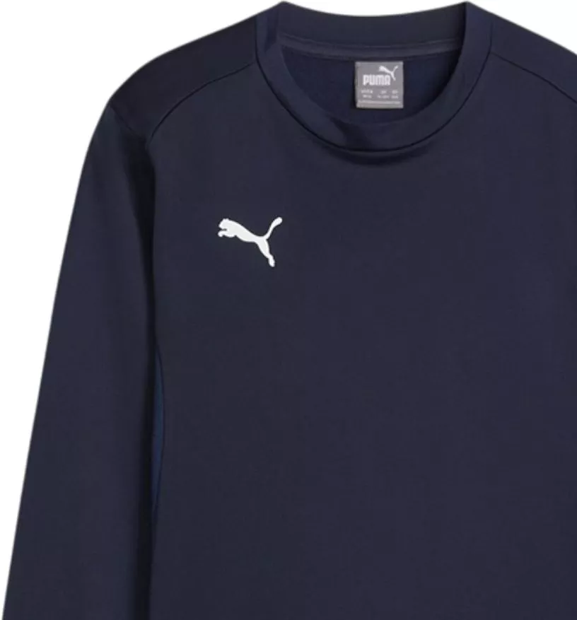 Trenirka (gornji dio) Puma teamGOAL Training Sweat Jr