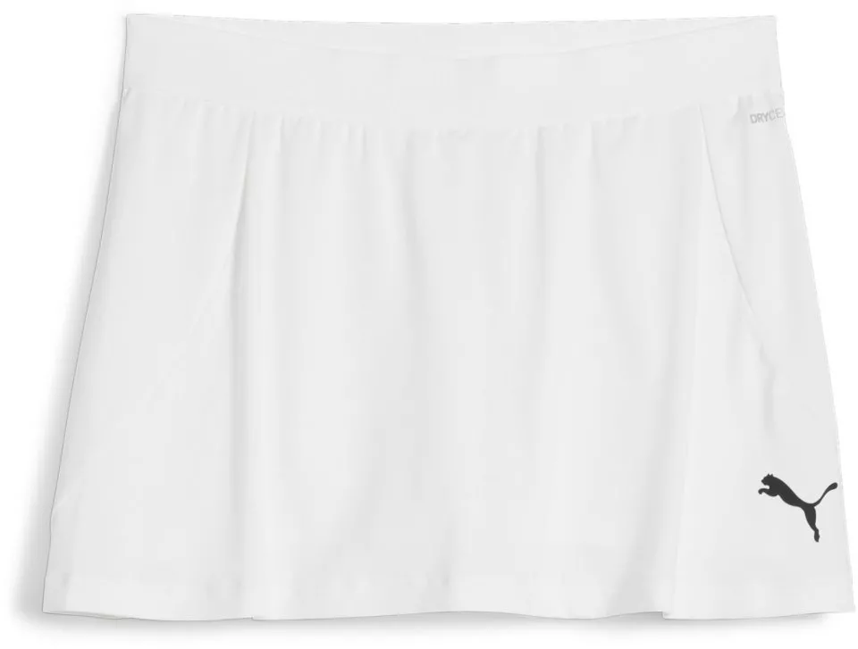 Falda Puma teamGOAL Skirt