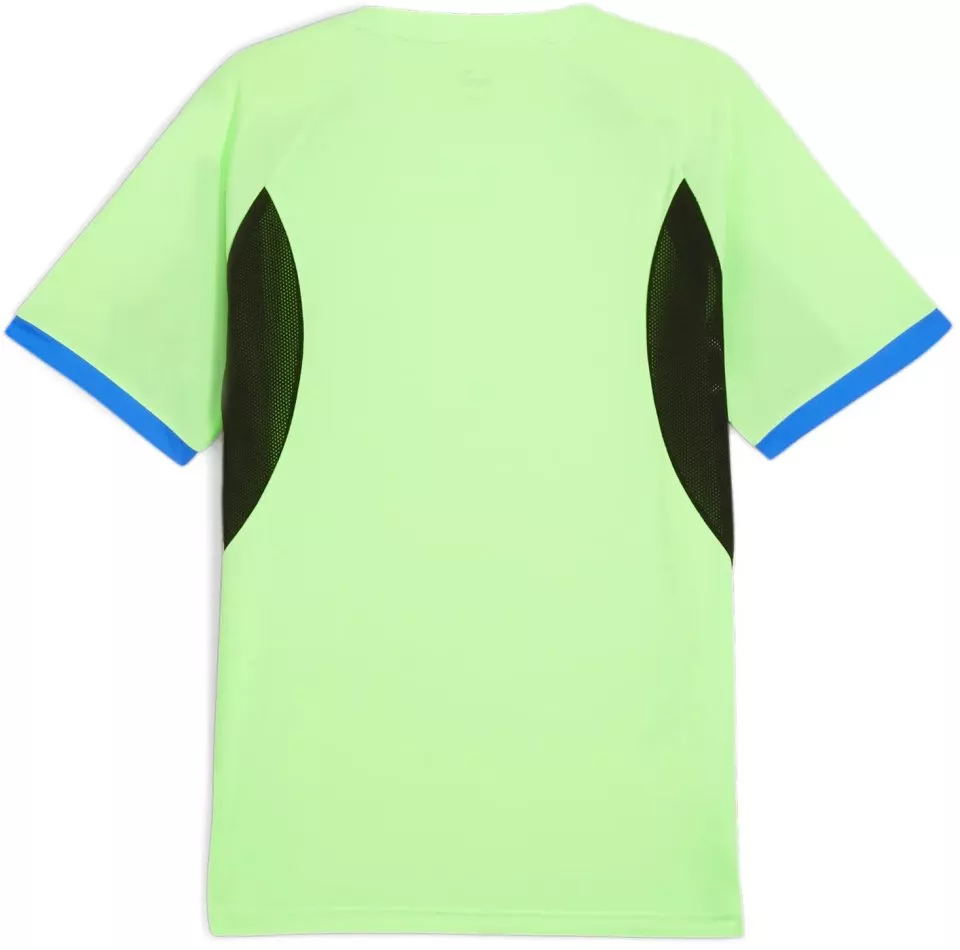 Koszulka Puma IndividualLIGA Jersey