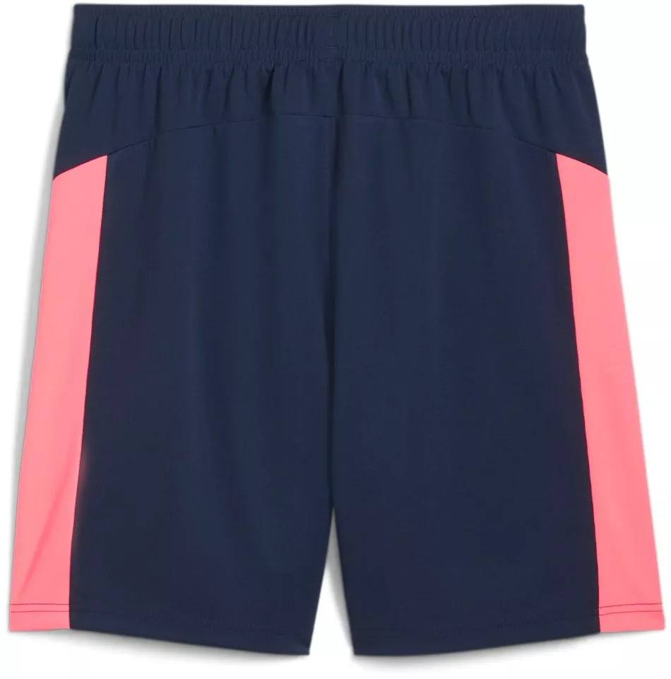 Puma individualFINAL Shorts