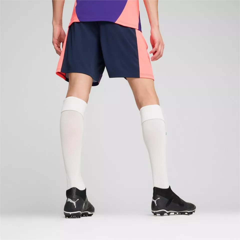 Puma individualFINAL Shorts