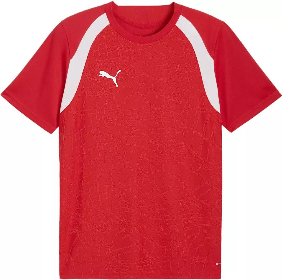 Herr träningströja med korta ärmar Puma teamFINAL26