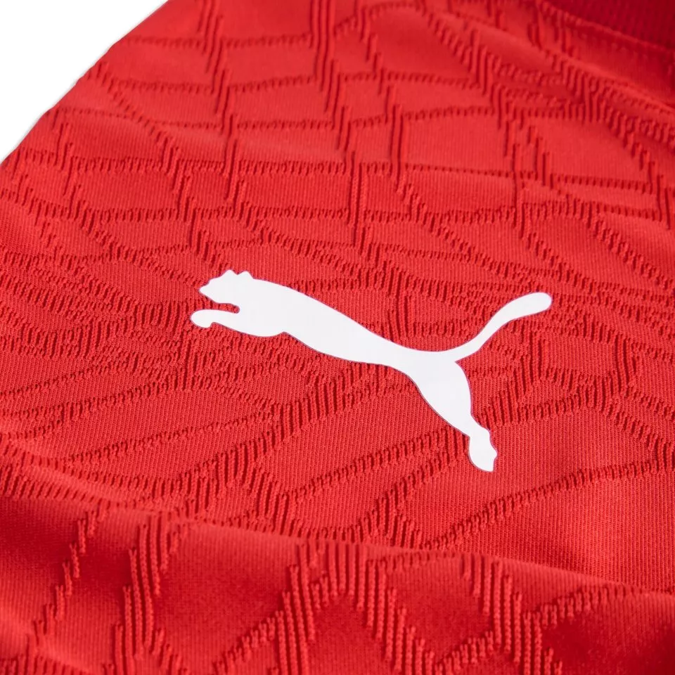 Herr träningströja med korta ärmar Puma teamFINAL26