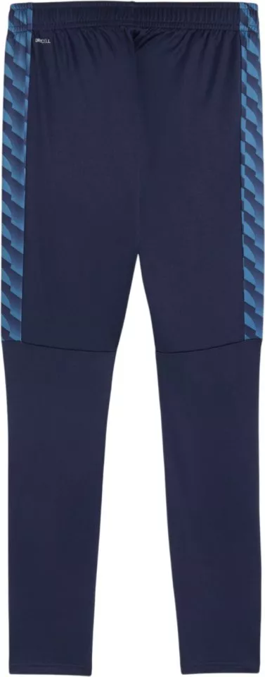 Hlače Puma teamLIGA26 Training
