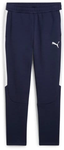 teamEVOSTRIPE Pants