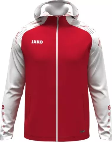 Sonic Hooded