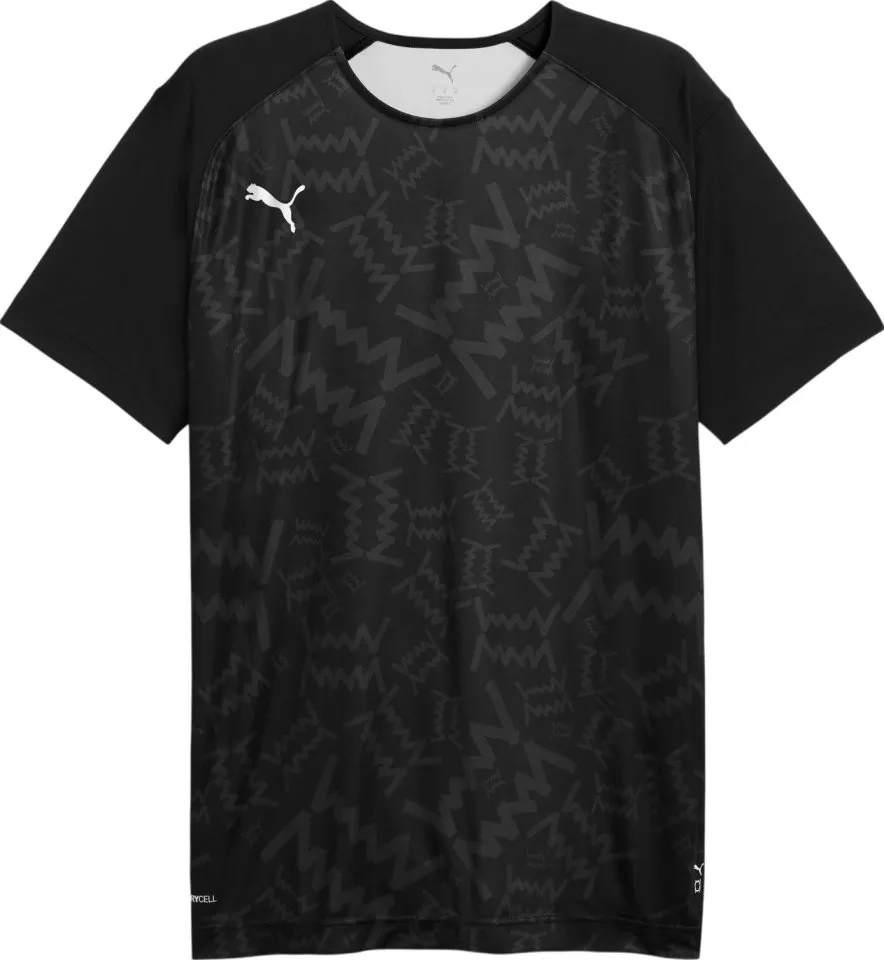 Pánské sportovní triko Puma Team Jaws Graphic Shooting