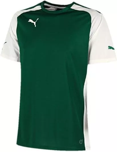 Camiseta Puma Speed jersey kids