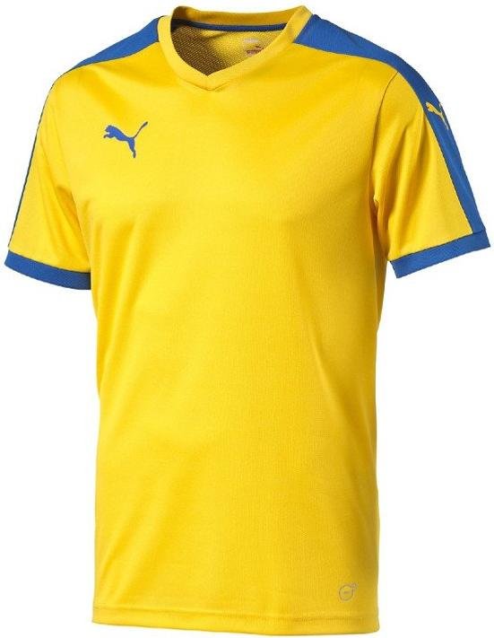 Camiseta Puma Pitch SS