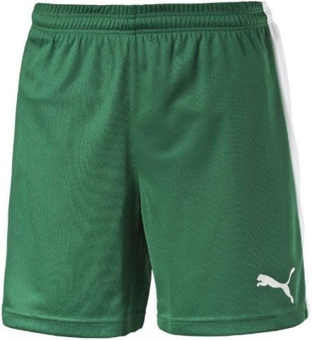 Pitch Shorts WithInnerbrief
