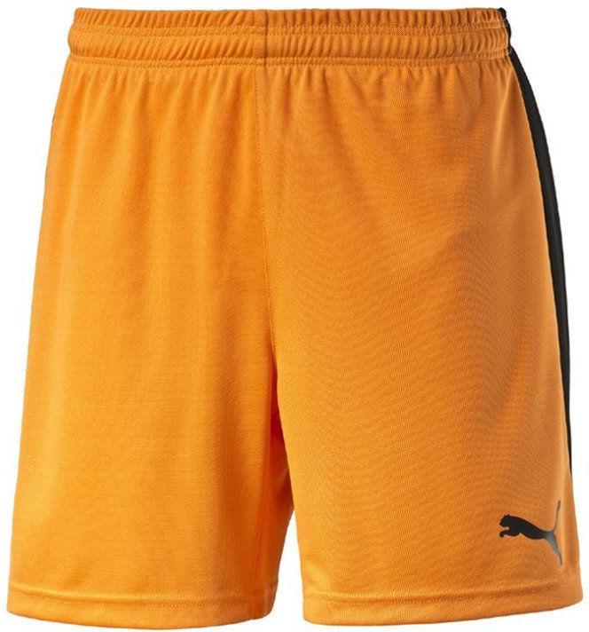 Puma Pitch Shorts WithInnerbrief