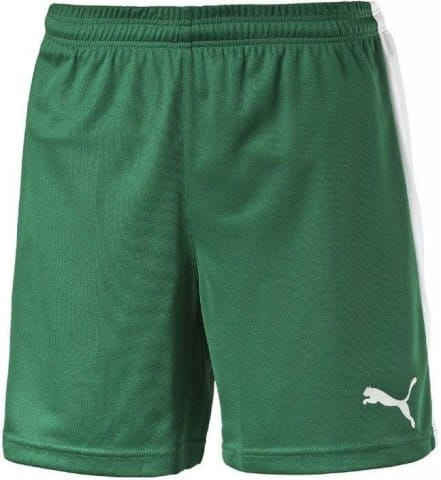 Pitch Shorts WithInnerbrief Kids