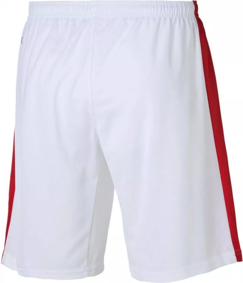 Sorturi Puma Pitch Shorts WithInnerbrief Kids