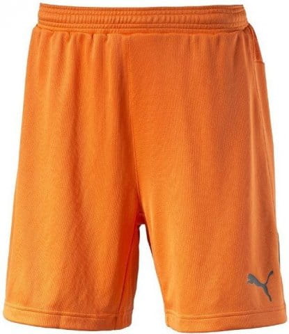 stadium gk short goalkeeper short