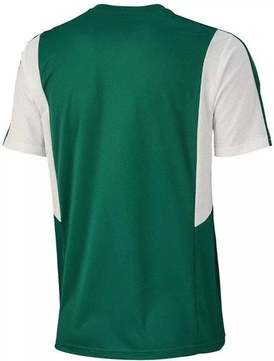 Camisa Puma dominate