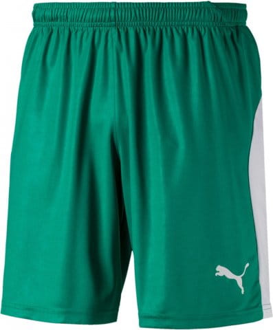 LIGA Core shorts