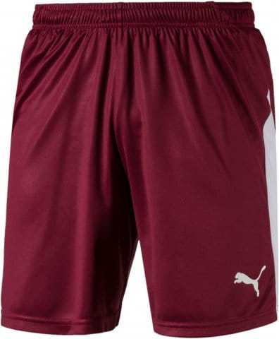 LIGA Core shorts