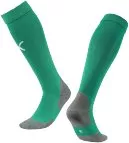 Team LIGA Socks