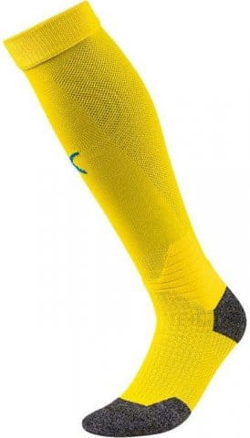 Team LIGA Socks