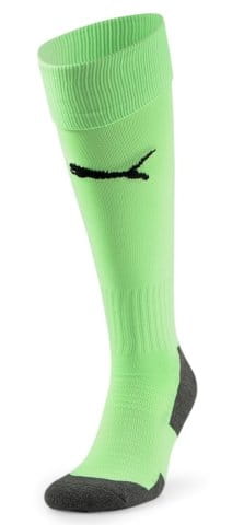 Team LIGA Socks CORE