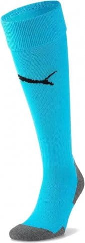 Team LIGA Socks CORE