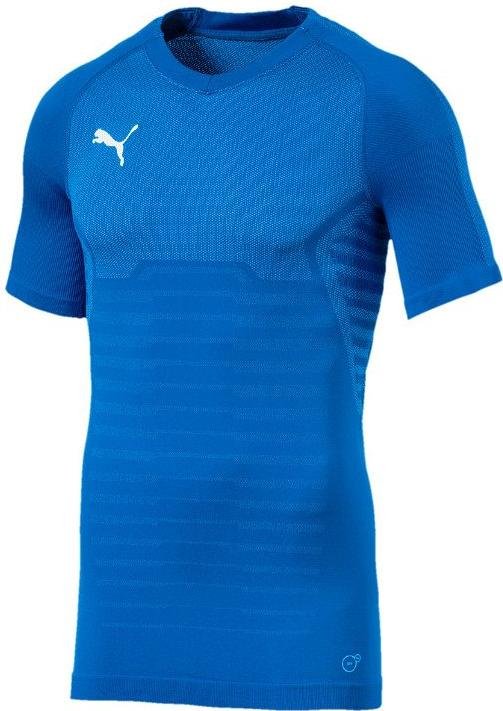 puma final evoknit goalkeeper jersey