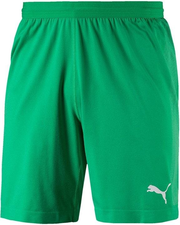 Shorts Puma final evoknit