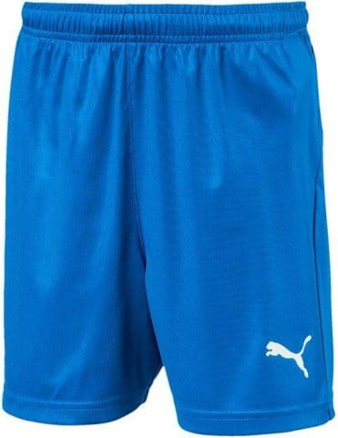 LIGA Shorts Core w Brief Jr
