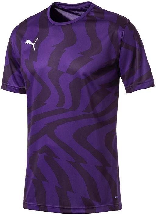 Bluza Puma cup core