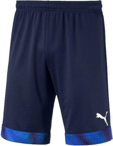 CUP Shorts